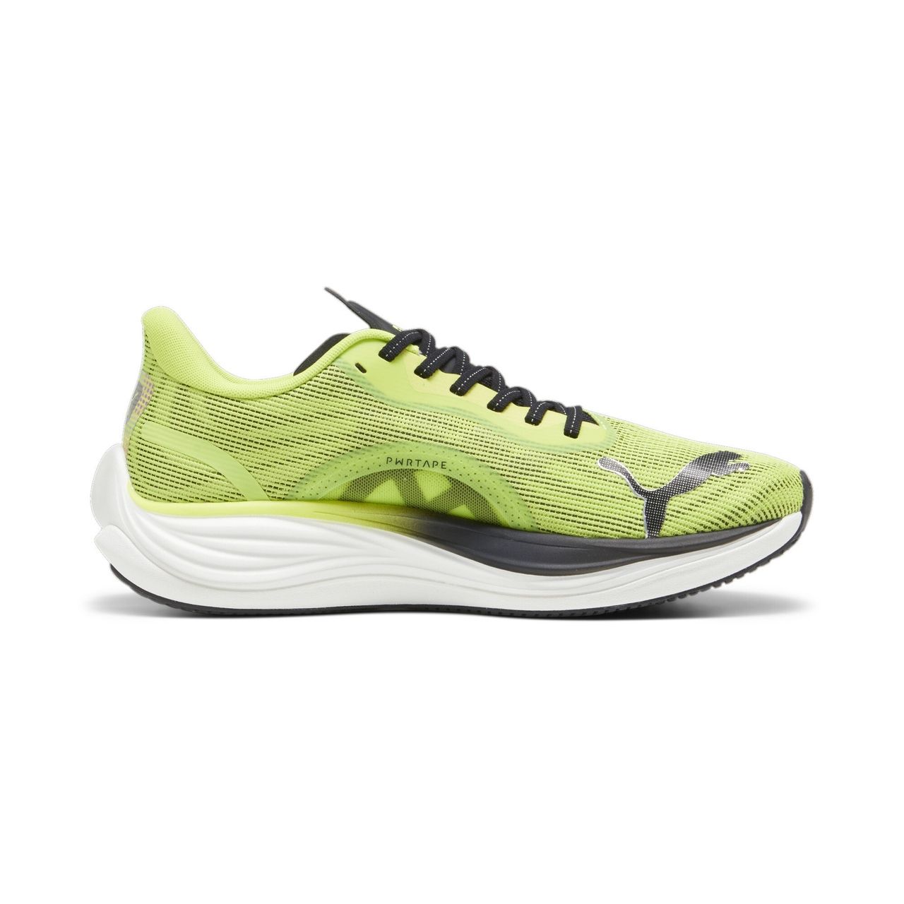 Tienda clearance puma bonaire